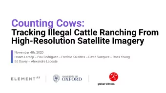 Counting Cows:  Tracking Illegal Cattle Ranching From  High-Resolution Satellite Imagery  November