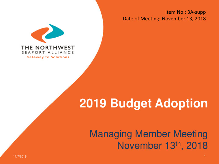 2019 budget adoption