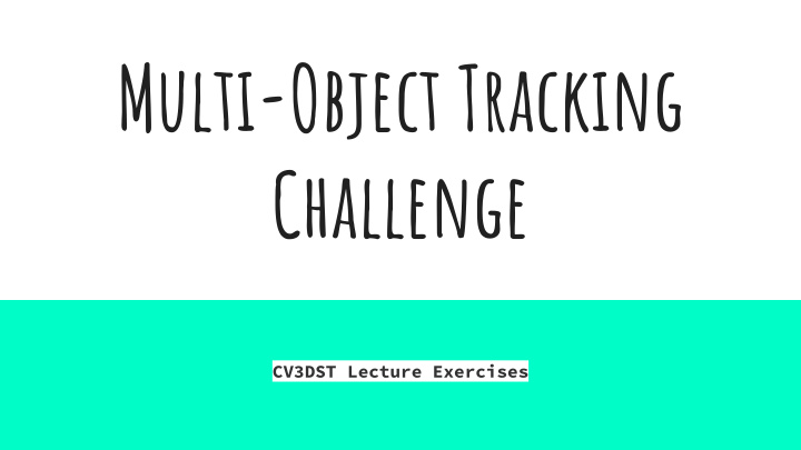 multi object tracking challenge