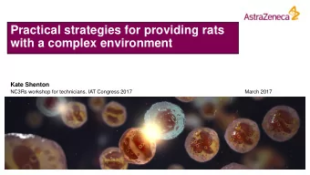 Practical strategies for providing rats  with a complex environment  Kate Shenton  NC3Rs workshop
