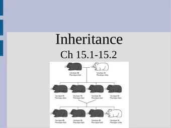 Inheritance  Ch 15.1-15.2  Highlights  - Creating parent/child classes (inheritance)  - protected