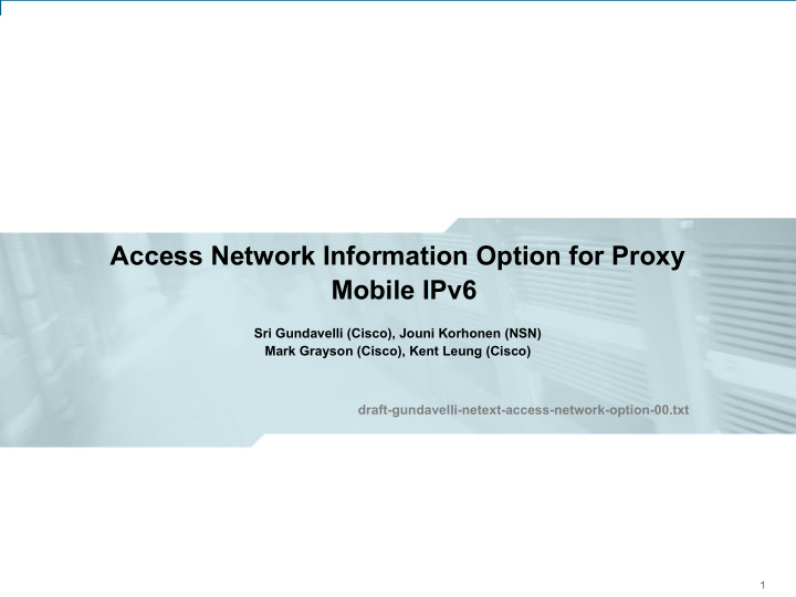 access network information option for proxy mobile ipv6