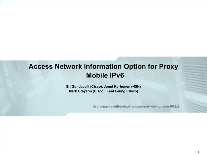 access network information option for proxy mobile ipv6