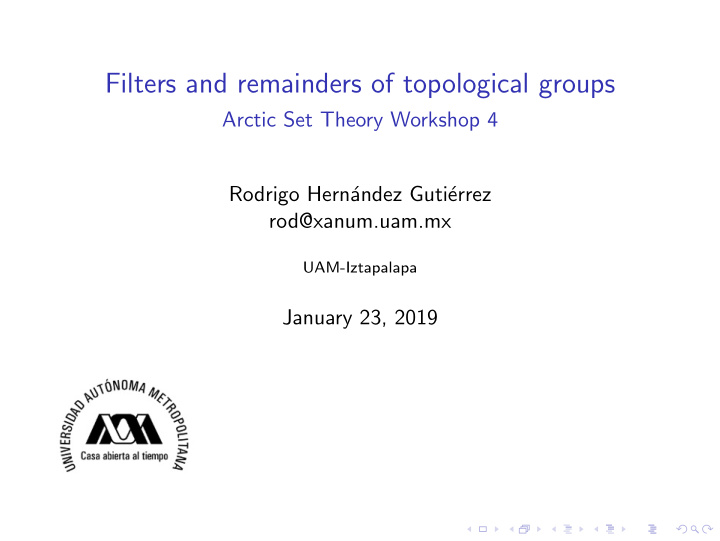 filters and remainders of topological groups