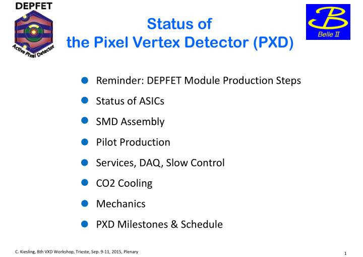 status of the pixel vertex detector pxd