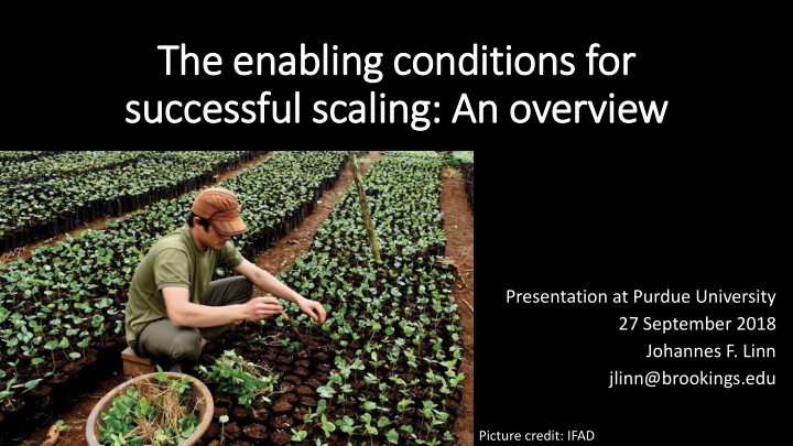 the enabling conditions for successful scaling an overv