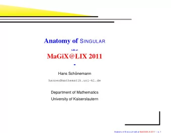 MaGiX@LIX 2011  -  Hans Sch  onemann  hannes@mathematik.uni-kl.de  Department of Mathematics