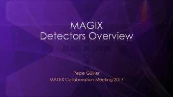 MAGIX  Detectors Overview  Pepe Glker  MAGIX Collaboration Meeting 2017  Topics  From Physics to