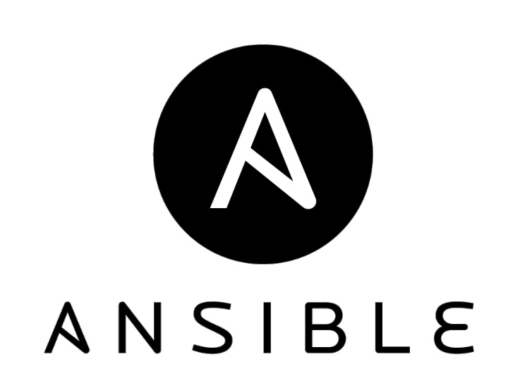 running ansible via api