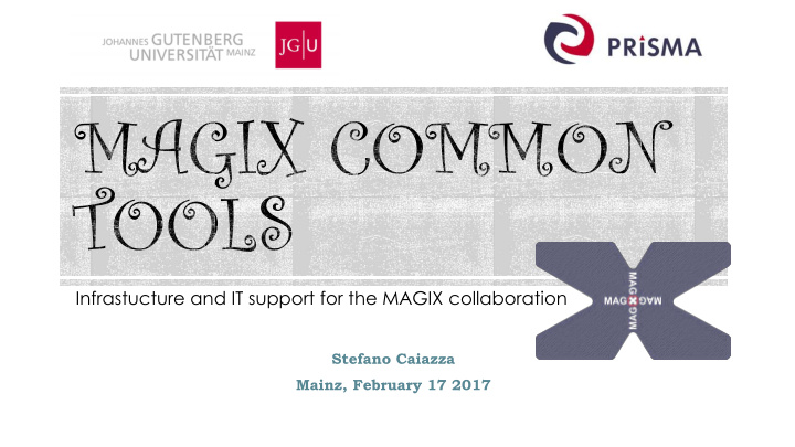 infrastucture and it support for the magix collaboration
