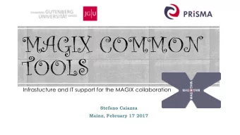 Infrastucture and IT support for the MAGIX collaboration  Stefano Caiazza  Mainz, February 17 2017