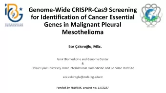 for Identification of Cancer Essential  Genes in Malignant Pleural  Mesothelioma Ece akrolu,