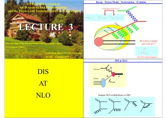 LECTURE  3 Large   LECTURE  3 Medium  Small   How does f change  Introduction to the Parton