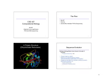 The Plan   BLAST  CSE 427   Scoring  Computational Biology   Another Bio Interlude: PCR