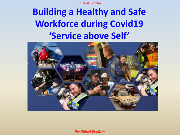 building a healthy and safe workforce during covid19