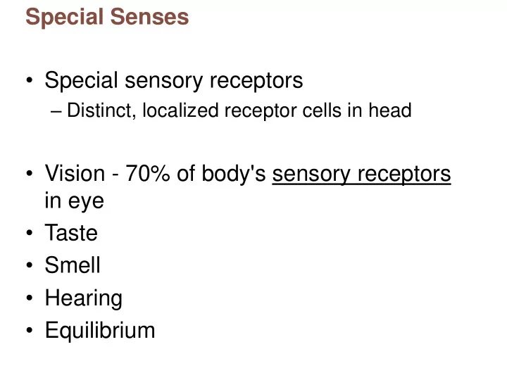 special senses