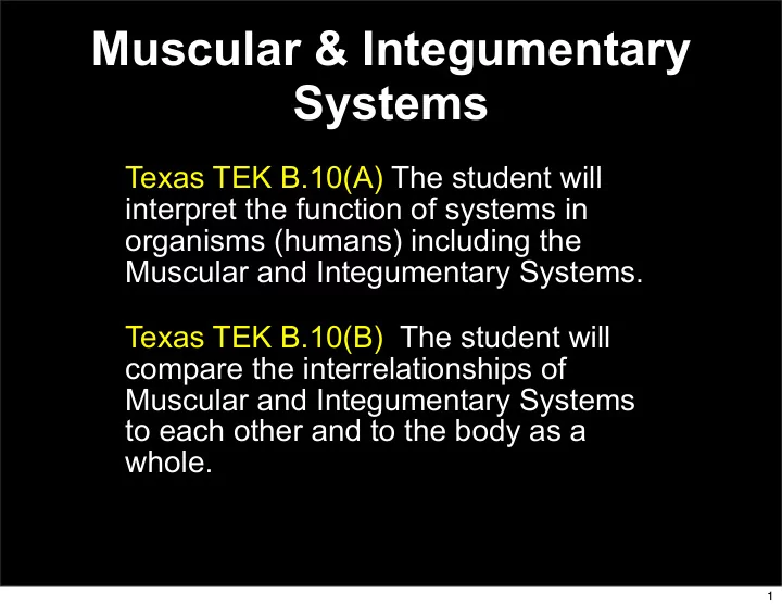 muscular integumentary systems