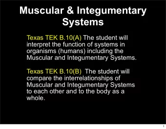 Muscular &amp; Integumentary  Systems  Texas TEK B.10(A) The student will  interpret the function