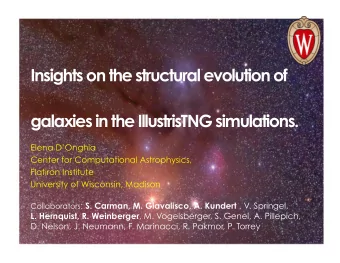 Insights on the structural evolution of  galaxies in the IllustrisTNG simulations.  Elena