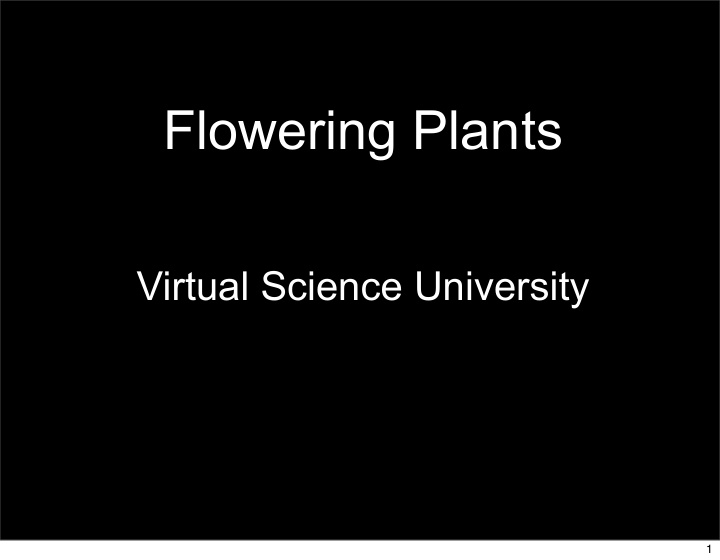 flowering plants