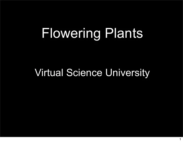 flowering plants