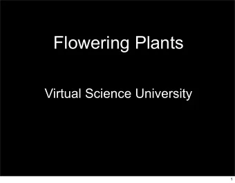 Flowering Plants  Virtual Science University  1  Flowering Plants  Texas TEK B.10 (C)  Student will
