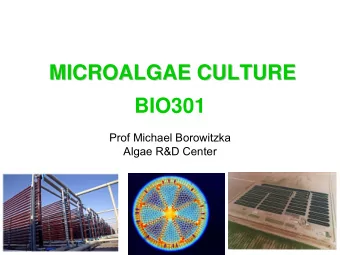 MICROALGAE CULTURE  MICROALGAE CULTURE  BIO301  Prof Michael Borowitzka  Algae R&amp;D Center