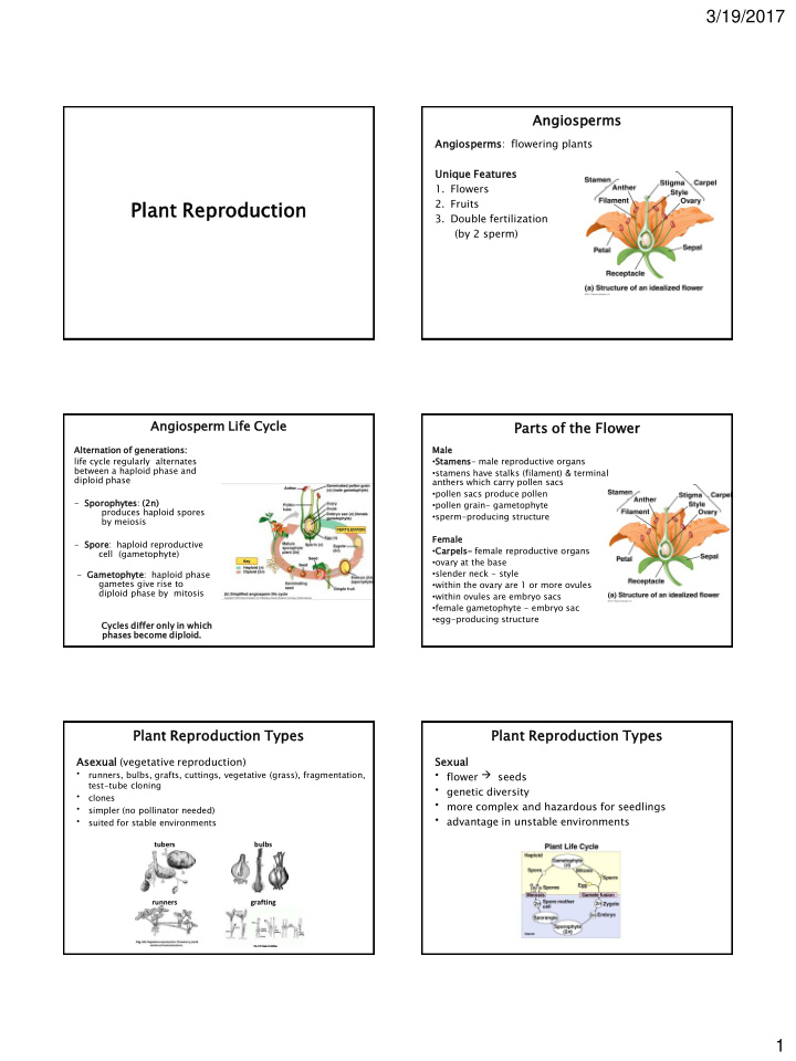 plant nt reprodu oduction ction