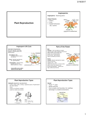 Plant  nt Reprodu  oduction  ction  2. Fruits  3. Double fertilization  (by 2 sperm)  Angiospe