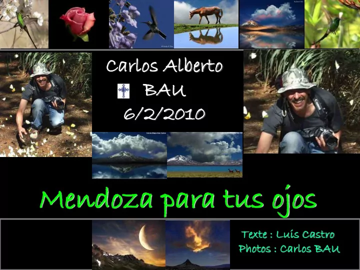 texte luis castr tro o photos tos carlo los s bau carlos