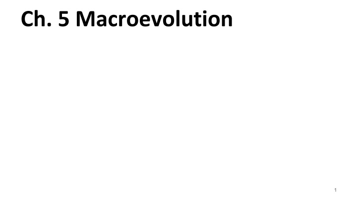 1 macroevolution