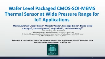 IoT Applications Moshe Avraham 1 , Gady Golan 1 , Michele Vaiana 2 , Giuseppe Bruno 2 , Maria