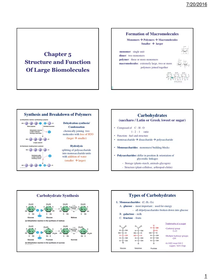 monomer single unit chapter 5 dimer two monomers polymer