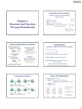 monomer :  single unit  Chapter 5 dimer :  two monomers polymer :  three or more monomers