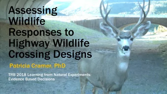 Assessing  Wildlife  Responses to  Highway Wildlife  Crossing Designs  Patricia Cramer, PhD  TRB