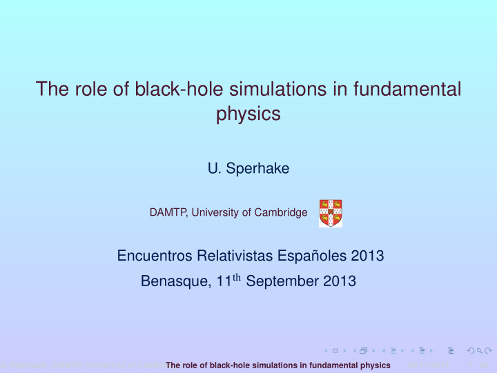 the role of black hole simulations in fundamental physics