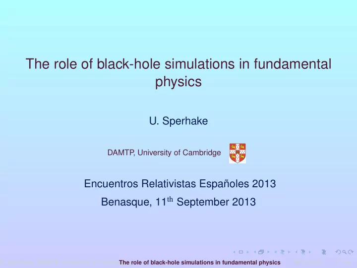 the role of black hole simulations in fundamental physics