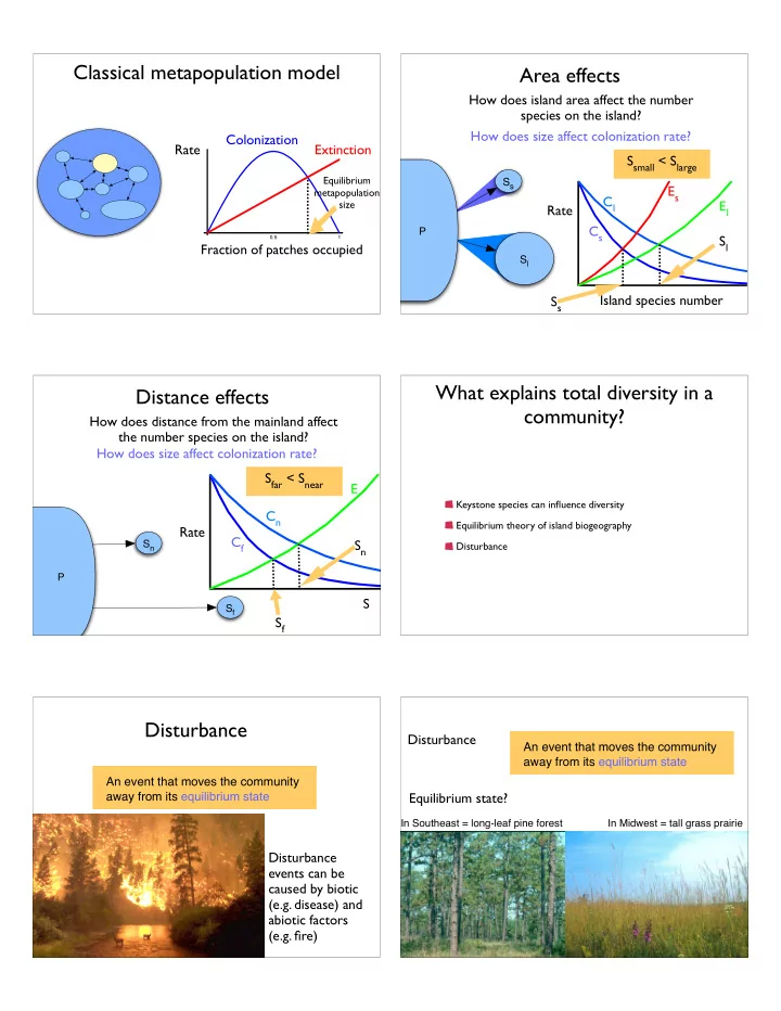 classical metapopulation model area effects