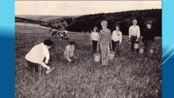 I  n 1999 E  a stlink la unc he d the  first triple  pla y b undle  in Ca na da .  Circa 1999  Pe