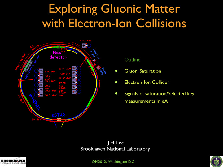 exploring gluonic matter with electron ion collisions