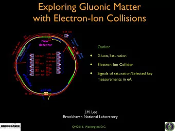 Exploring Gluonic Matter  with Electron-Ion Collisions  Outline    Gluon, Saturation