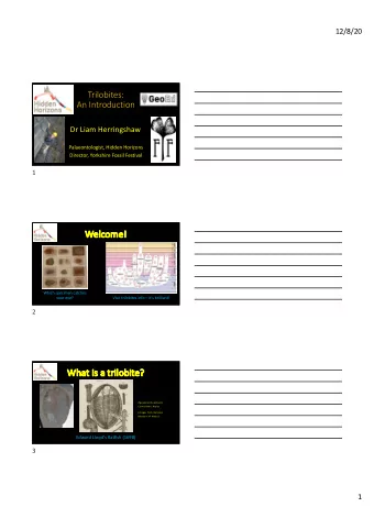 We  Welcome!  Which specimen catches  your eye?  Visit trilobites.info  its brilliant!  2  Wh