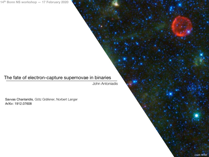 the fate of electron capture supernovae in binaries