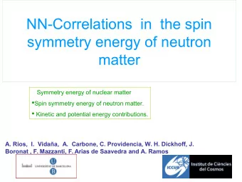 NN-Correlations  in  the spin  symmetry energy of neutron  matter  Symmetry energy of nuclear