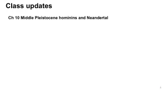 Class updates  Ch 10 Middle Pleistocene hominins and Neandertal  1  2  3  4  Practice: Identify