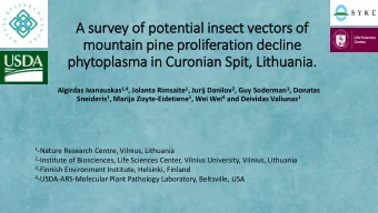 A survey of  f potential in  insect vectors of  f  mountain pin  ine proliferation decline  phyt