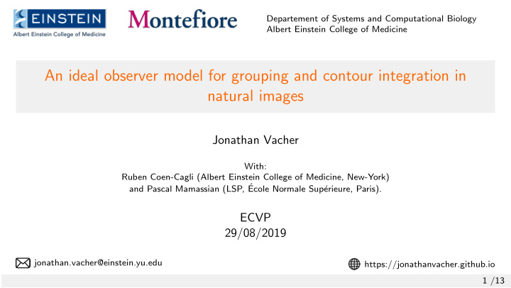 an ideal observer model for grouping and contour