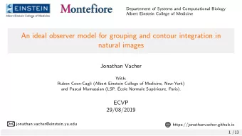An ideal observer model for grouping and contour integration in  natural images  Jonathan Vacher