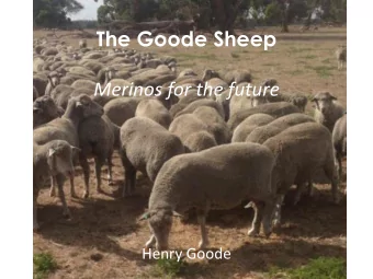 The Goode Sheep  Merinos for the future  Henry Goode Property - Barooka  Approx 2800 hectares