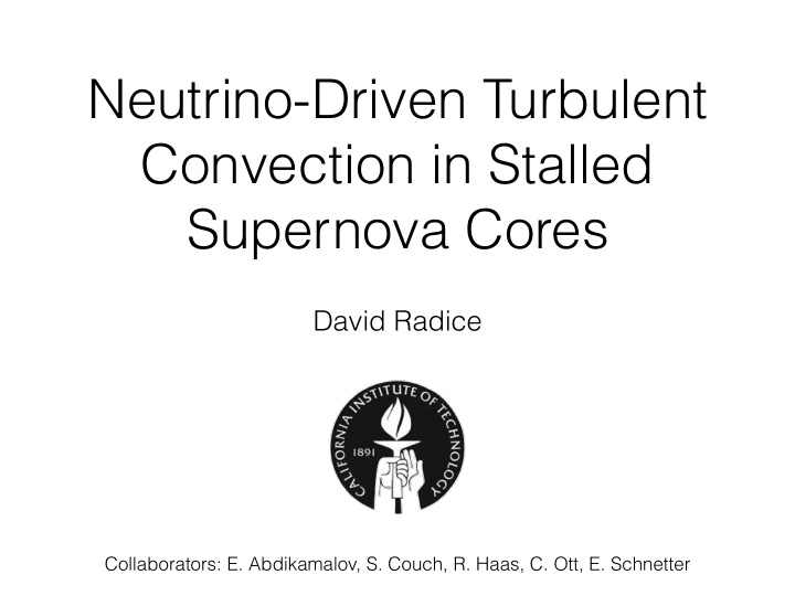 neutrino driven turbulent convection in stalled supernova